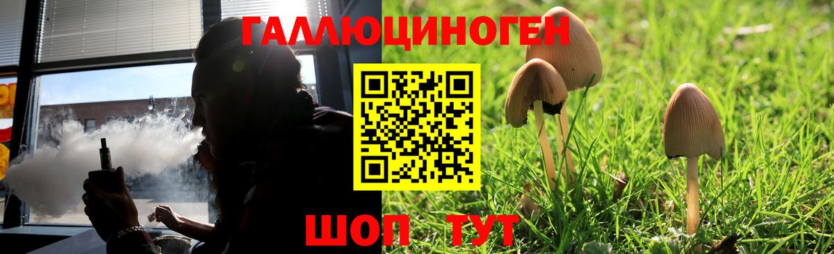 Россия  Псилоцибиновые грибы мухоморы  Вход с VPN 